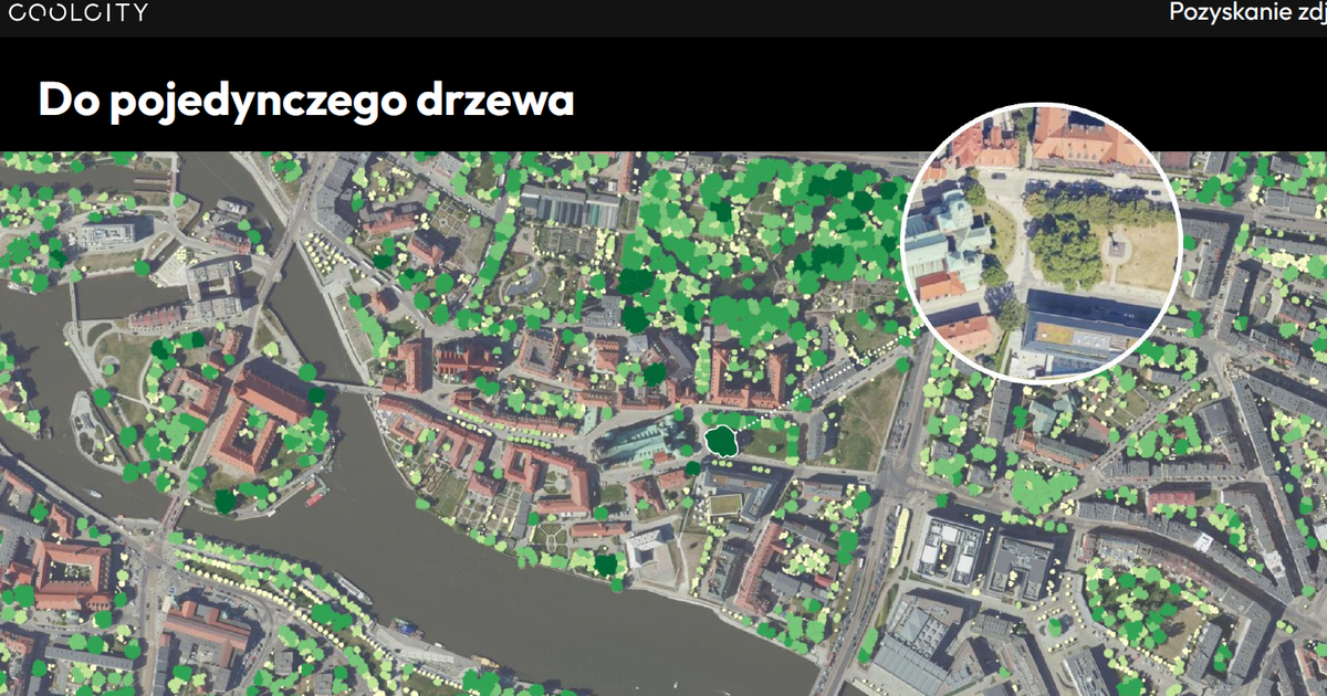 Zrobili wielką lotniczą inwentaryzację drzew