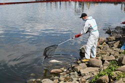 Badanie na obecność rtęci po stronie polskiej. GIOŚ podaje wyniki