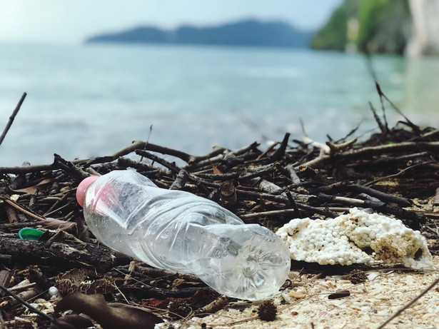 Sposób na zanieczyszczenia? Zmodyfikowane bakterie rozkładają plastik