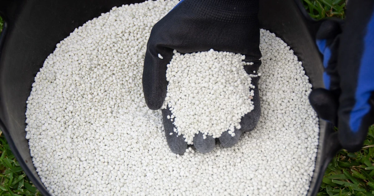 Wapnowanie trawnika - kiedy sypać wapno na trawnik jesienią? Jakie wapno na trawnik? Ile wapna na m2 trawnika?