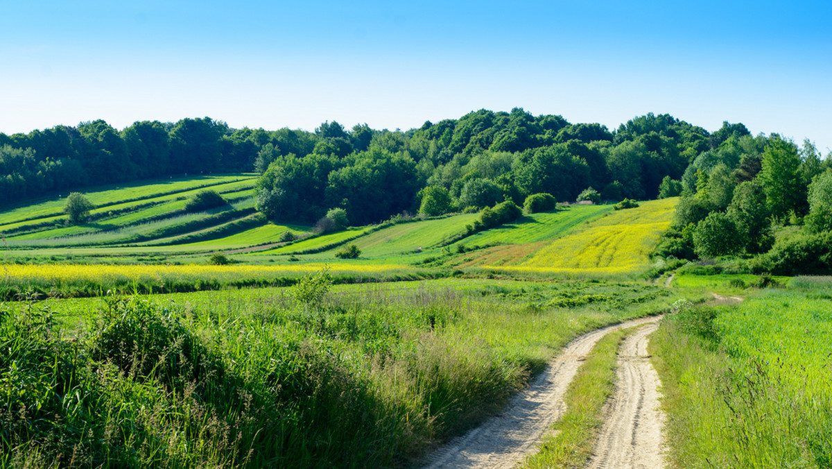 Najbardziej nasłoneczniony region Polski, który może poszczycić się czystymi rzekami, niezwykłymi krajobrazami i urokliwymi miasteczkami to Roztocze. Piesze wędrówki, wyprawy rowerowe i spływy kajakowe – to i wiele więcej ma do zaoferowania ta jedna z najbardziej magicznych krain geograficznych, która teraz staje się jeszcze bardziej atrakcyjna dla (ultra)biegaczy, którzy łączą sport z pomocą dla najbiedniejszych.