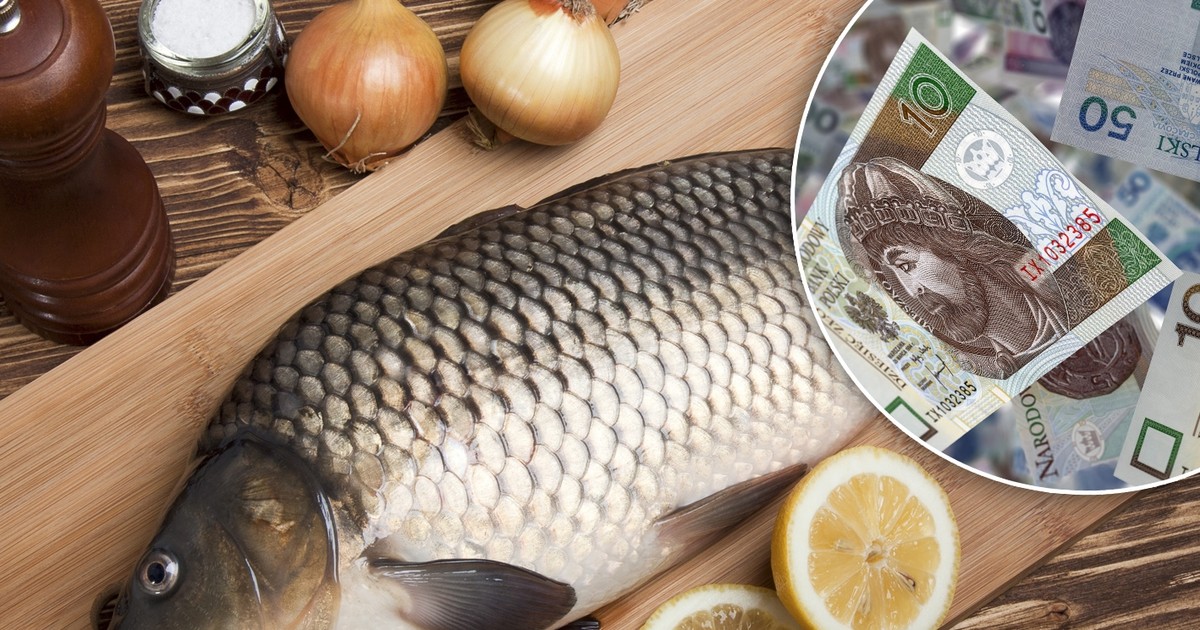 Indeks karpia 2025. "Fakt" sprawdził, na co nas stać