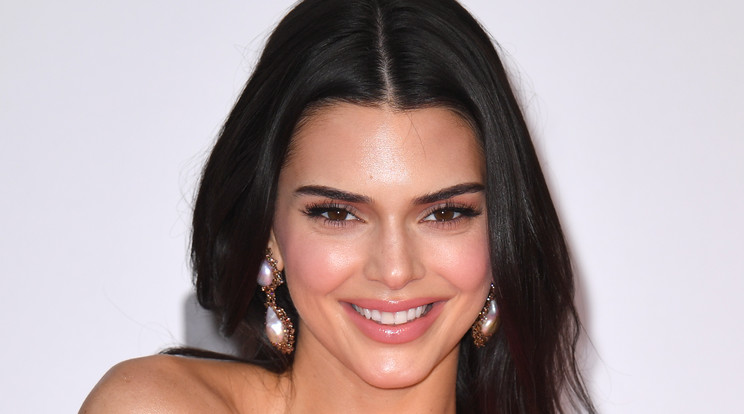 Kendall Jenner egy igazi szexszimbólumnak öltözött be /Fotó: Northfoto