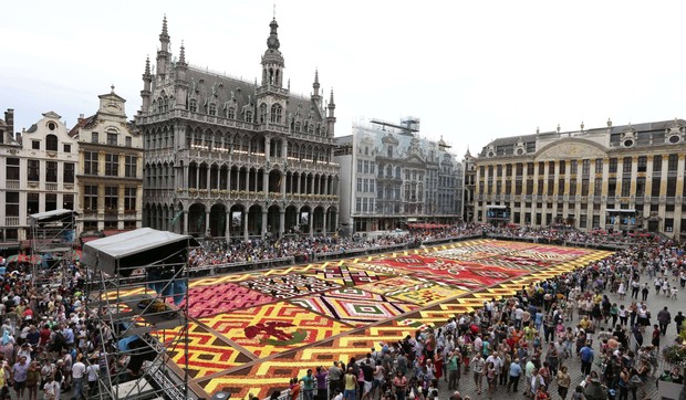 266912_the-flower-carpet-2012-in-brussels.-the-grand-place-was-decked-out-with-600000-begonias-in-a-giant-tribute-to-african-weaving-in-a-big-biannual-tourist-draw-afp