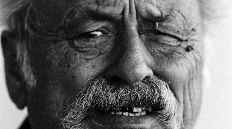 Jim Harrison 78 évet élt