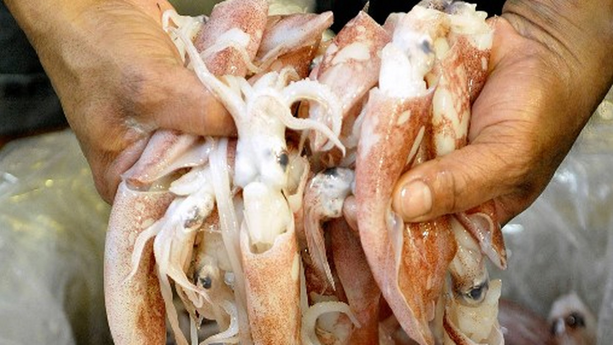 Sprzedawca ryb w południowych Chinach odkrył, że w jednej ze sprzedawanych przez niego kałamarnic znajduje się bomba - donosi independent.co.uk.