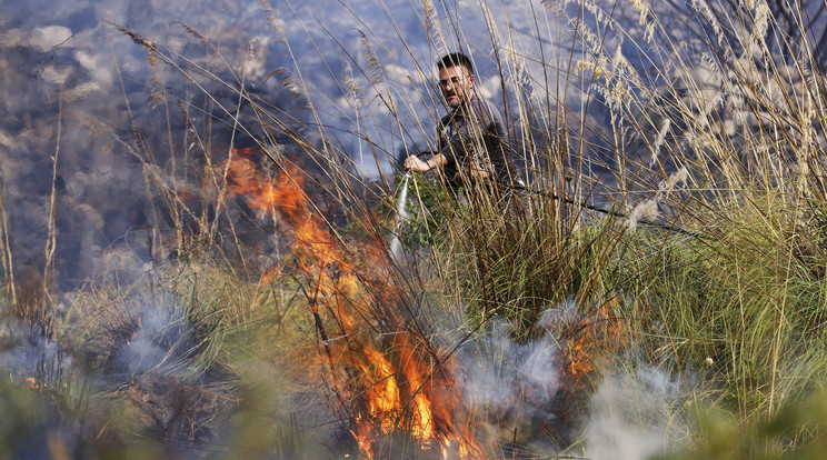 Rengeteg ember halt meg a mediterránt súlytó erdőtüzek miatt / Fotó: MTI/AP/LaPresse/Alberto Lo Bianco