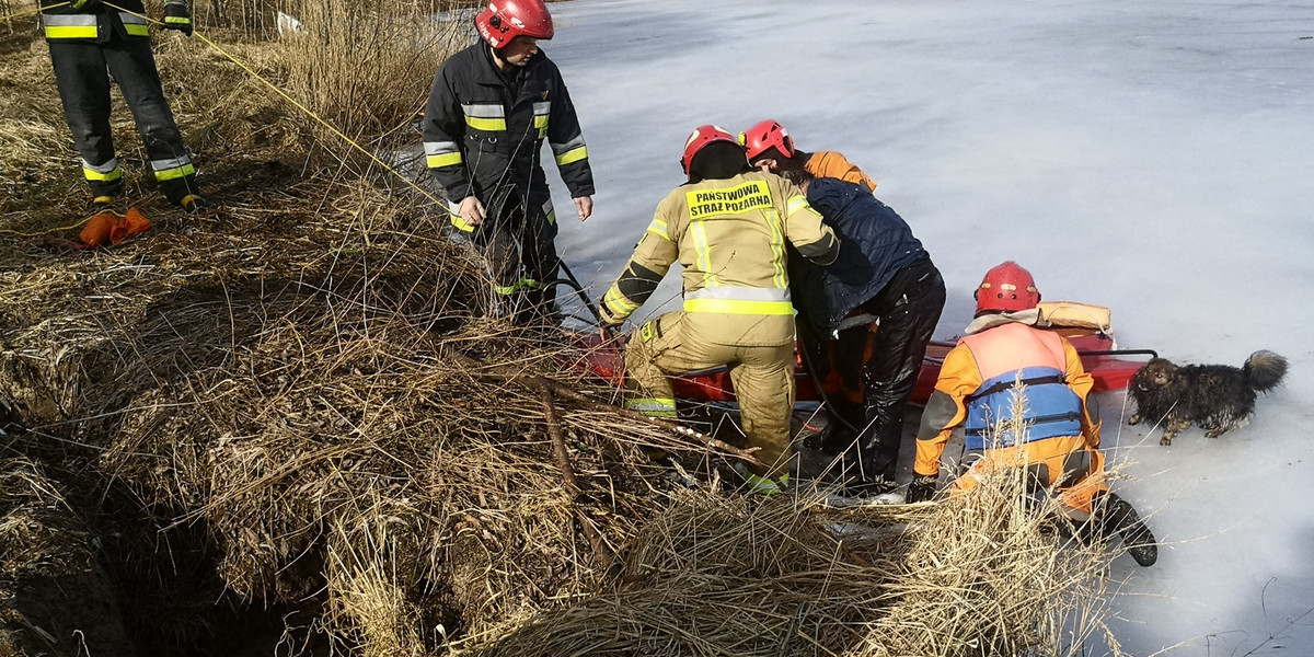 Napędził potwornego stracha żonie. Uratowali go strażacy