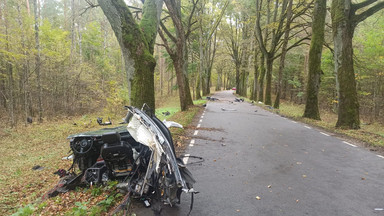 Kierowca Audi uderzył w drzewo i zginął na miejscu