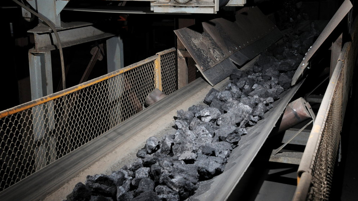 Ponad 220 deklaracji osób zainteresowanych pracą w projekcie górniczym w Orzeszu oraz kilkadziesiąt lokalnych firm deklarujących chęć współpracy wpłynęło do biura Silesian Coal - informują przedstawiciele inwestora, który stara się o koncesję ministra środowiska na wydobycie węgla w Orzeszu. Tymczasem mieszkańcy nie zgadzają się by w ich okolicy powstała nowa kopalnia. Obawiają się szkód górniczych, powstawania zalewisk i degradacji środowiska.