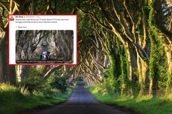 Groźny orkan Isha sieje zniszczenie. Powalił drzewa znane z serialu "Gra o tron"