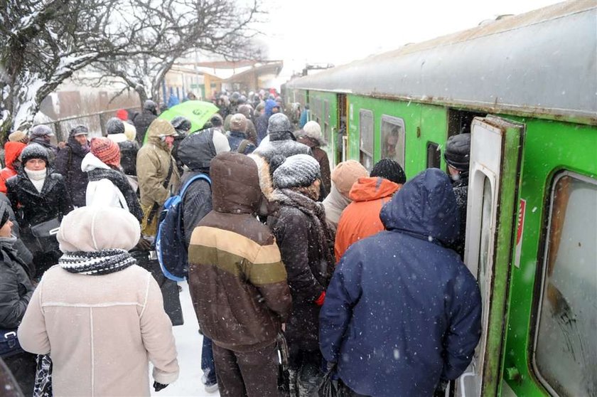 Skandal! Odwołali go za chaos. Teraz wraca do PKP