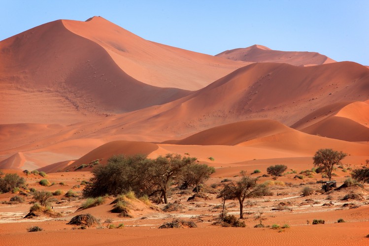 Namibia – pustynia, wydmy i safari powodują, że Namibia jest prawdziwą alternatywą do zobaczenia „innej” Afryki.