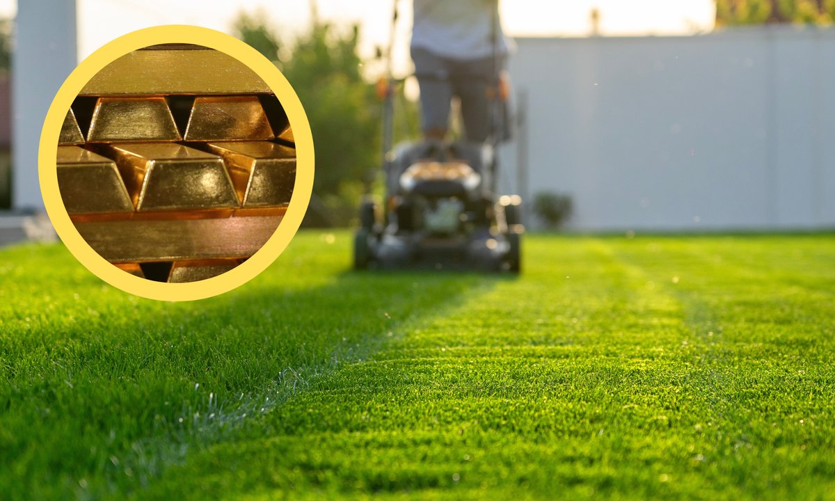 Kosił trawnik. Znalazł złoto za prawie 180 tys. zł