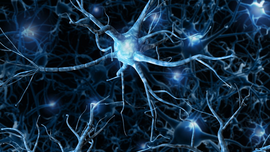 Sieć neuronowa