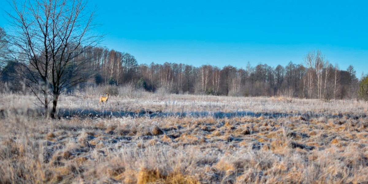 Prognoza pogody na 16 marca. Będzie dość ciepło, ale to jeszcze nie wiosna.