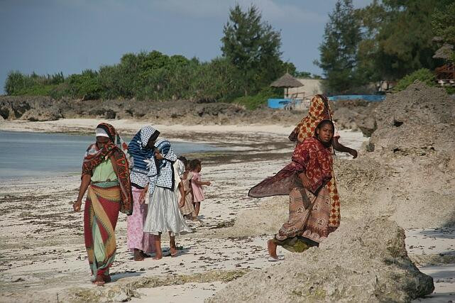 Galeria Tanzania - Zanzibar - Chcielibyście znaleźć raj?, obrazek 37