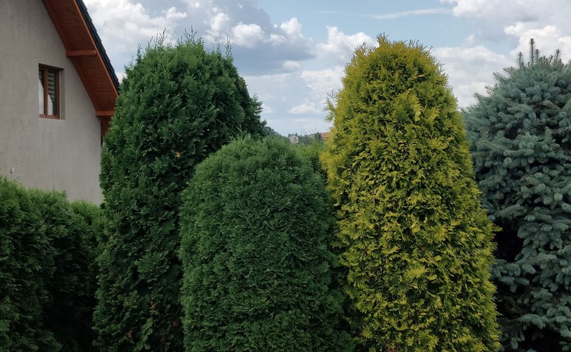 Zdjęcie wykonane telefonem Oppo Reno 10x Zoom - 2x zoom