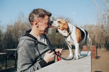 Kiderült! Úgy kötődnek a kutyák a gazdájukhoz, mint a gyerekek az anyjukhoz