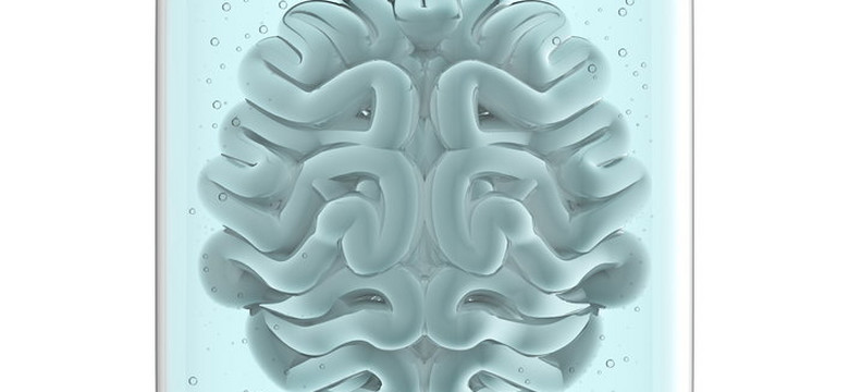 Naukowcy z Ohio State University twierdzą, że stworzyli najpełniejszy model ludzkiego mózgu, jaki kiedykolwiek wyhodowano w laboratorium