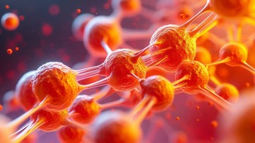 Mit eszik a rákos sejt? A dietetikus szerint ez a 3 ételcsoport a legveszélyesebb kombináció