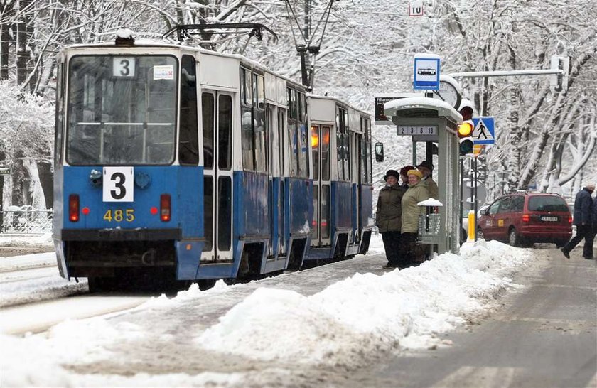 Uwaga! Zima ogłupiła wielu Polaków!