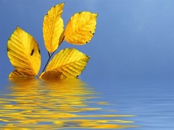 Słodkie lenistwo w Spa