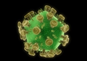 HIV virus