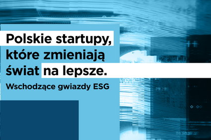 Polskie firmy zmieniające świat. Oto liderzy w kategorii środowisko