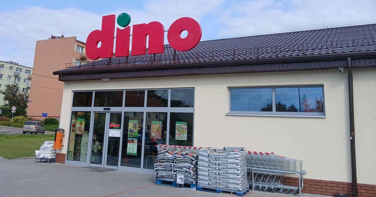 Dino obniża ceny i kusi rabatami! Hity z gazetki mocno obniżonych cenach - nawet do 50 proc.