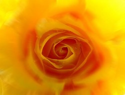 Spa - moc cudownych wrażeń