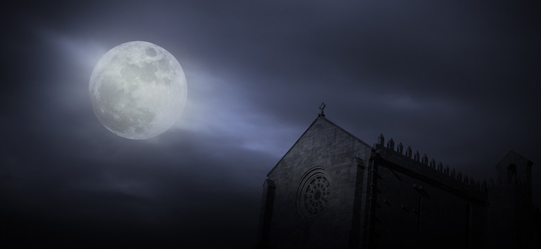 Kostiumowe trendy na Halloween 2024. Co króluje w wyszukiwaniach Google?