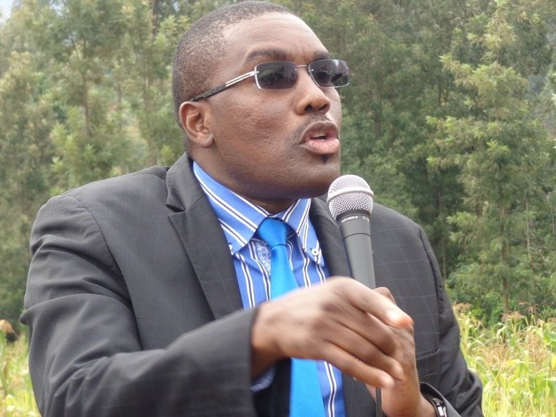 Former Mukurweini MP Kabando Wa Kabando (Twitter) 