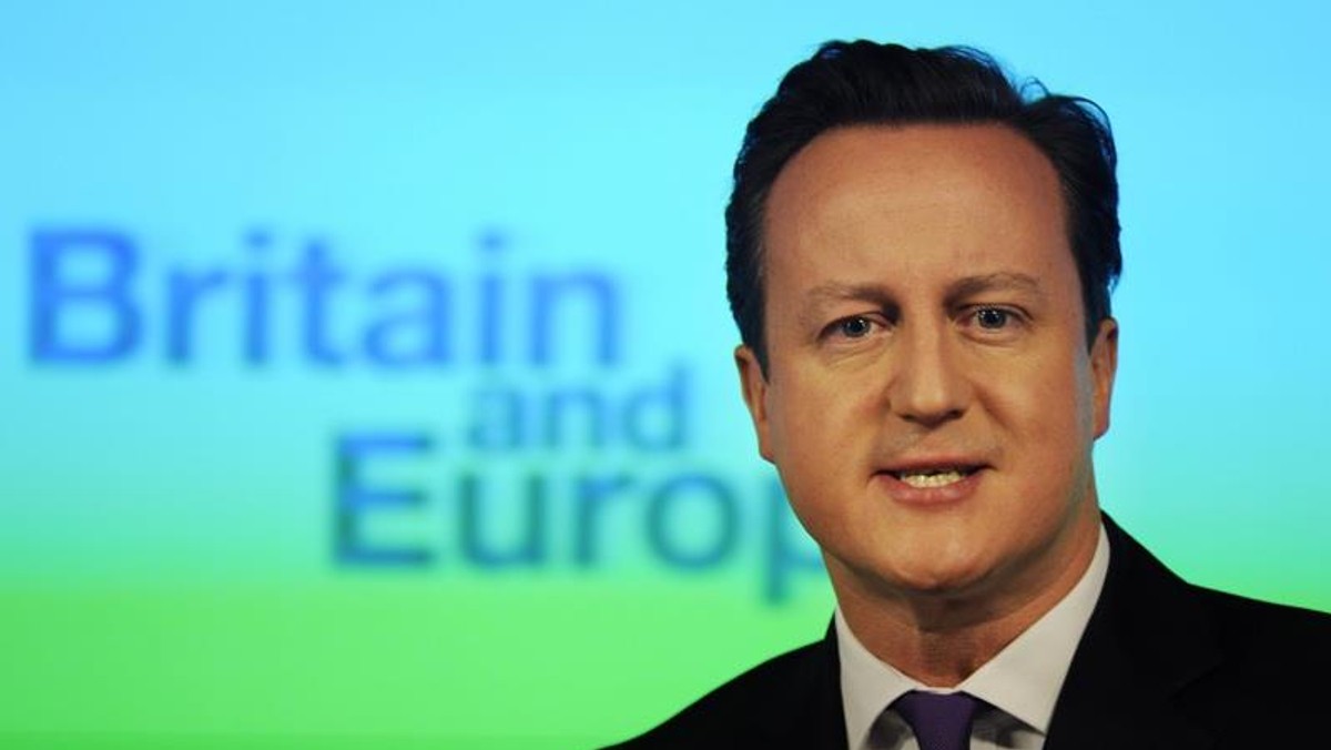 David Cameron UE referendum