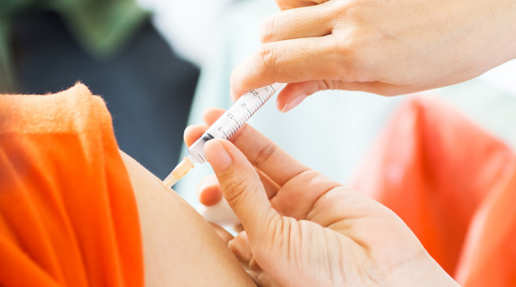 Az új vakcina az influenza több változata ellen is védhet /Illusztráció: Northfoto