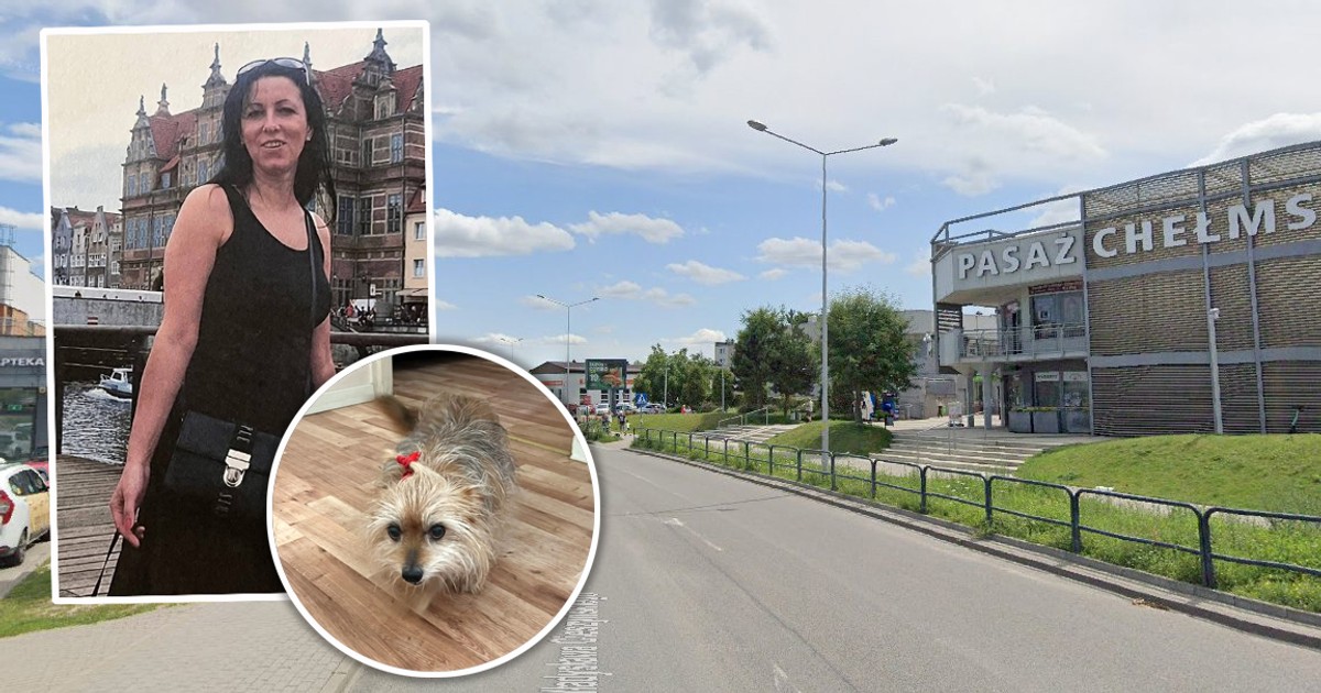 "Będziemy przeszukiwać nabrzeża stawku". Córki zaginionej Małgorzaty błagają o pomoc w poszukiwaniach