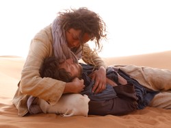 Marion Cotillard i Guillaume Canet pod osłoną nieba