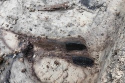 Odkrycie archeologów na Westerplatte. Będzie śledztwo prokuratury