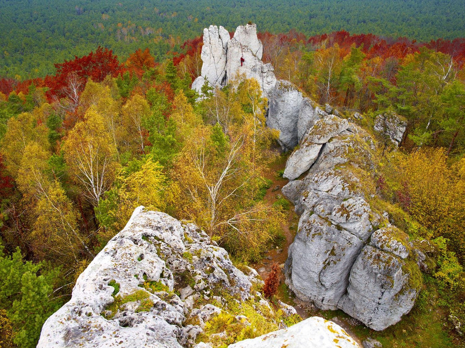 Góra Kołoczek, Rezerwat Góra Zborów, Skały Kroczyckie