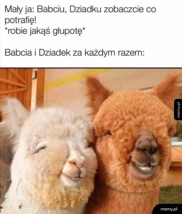 https://ocdn.eu/pulscms-transforms/1/ec8k9kpTURBXy9hMjc4ZjA5NTRmNDY5YmU3NzNiY2ZkMmI0OTIyOGVhNi5qcGeSlQLNA8AAwsOVAgDNA8DCw94AAaEwBg