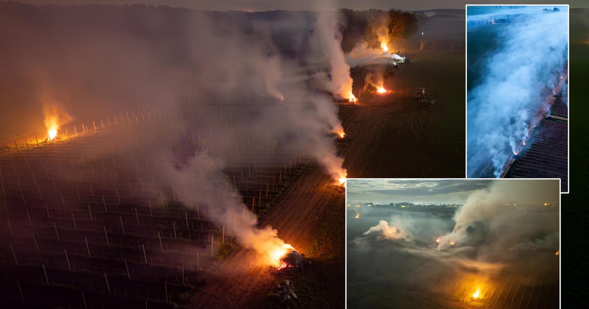 Et slikt syn har ikke blitt sett i Polen på over et dusin år!  De hadde ikke noe valg