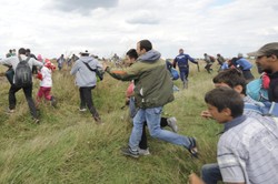 Kidawa-Błońska: Dziś uchwała parlamentarna o uchodźcach