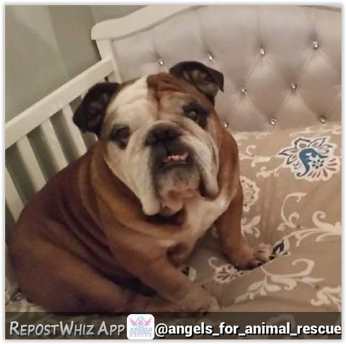 Tak mieszka Joanna Krupa