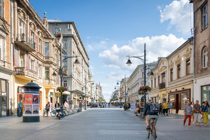 Idzie nowe. Tam połowa posłów wybranych do Sejmu to debiutanci