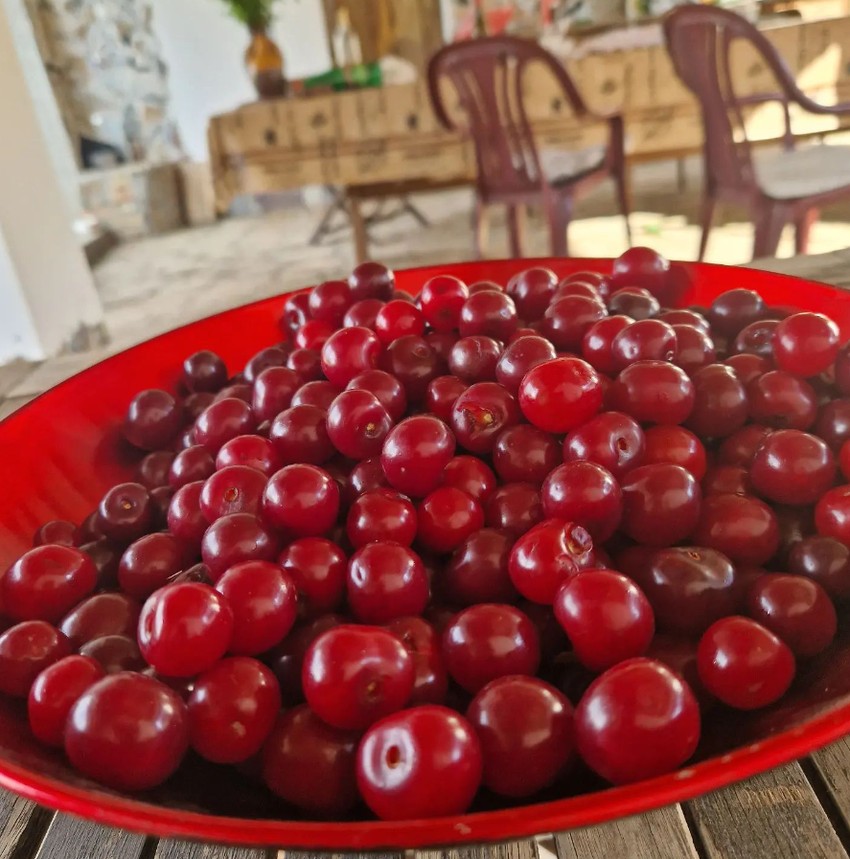 Obava Mirjane Bobić Mojsilović