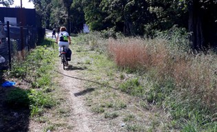 Promenada Krzycka idzie dalej!
