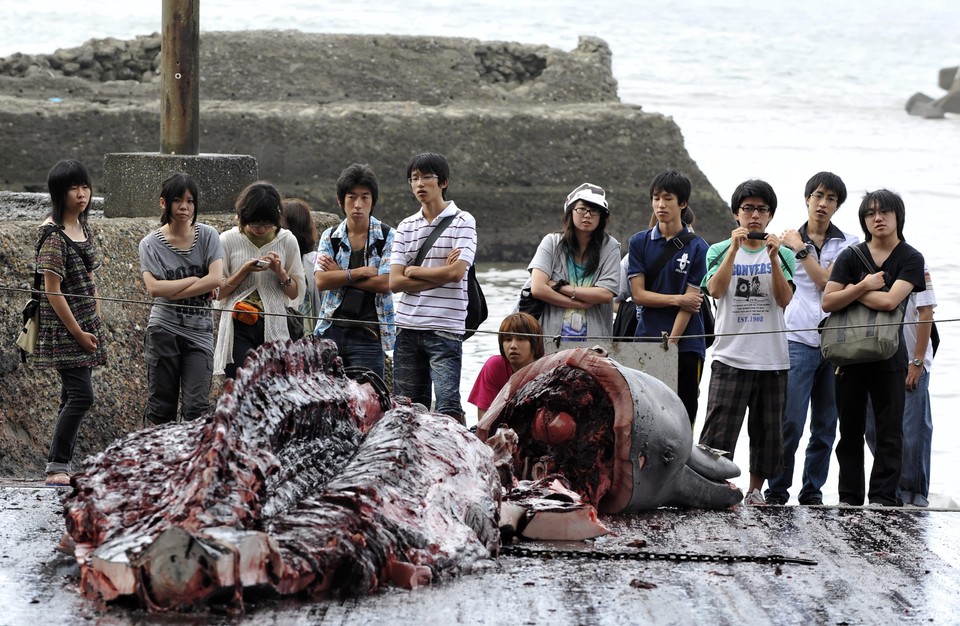 JAPAN FEATURE PACKAGE WHALING