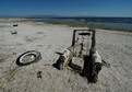 Salton Sea - słone jezioro w Kalifornii 