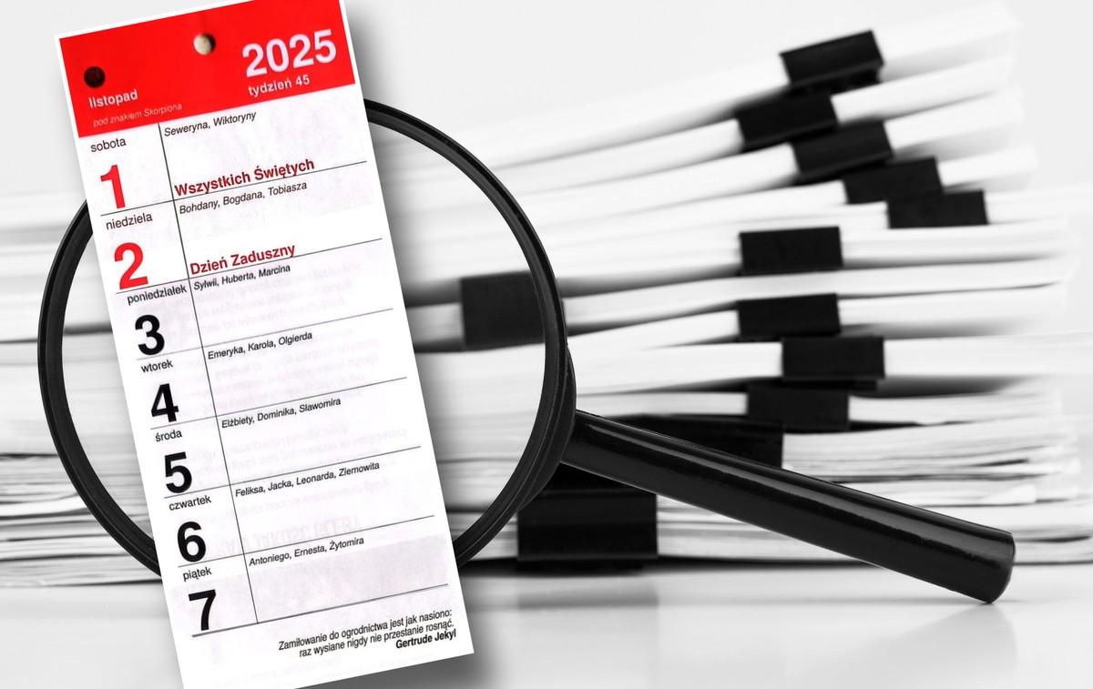 Nowe prawo w listopadzie. Sprawdź, kto zyska na deregulacji Rafała Brzoski [LISTA]