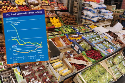 Indeks cen żywności na świecie przerwał spadkową serię. Gwałtownie zdrożał jeden produkt